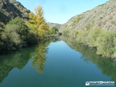 Presa de la Parra - Atazar - Meandros Río Lozoya - Pontón de la Oliva - Senda del Genaro;senderism